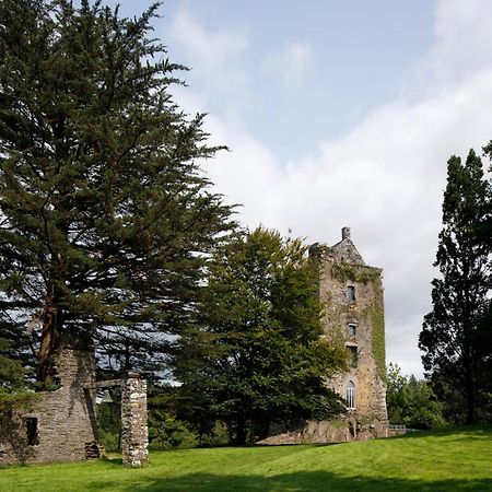 Dripsey Castle Estate Cork Exterior foto