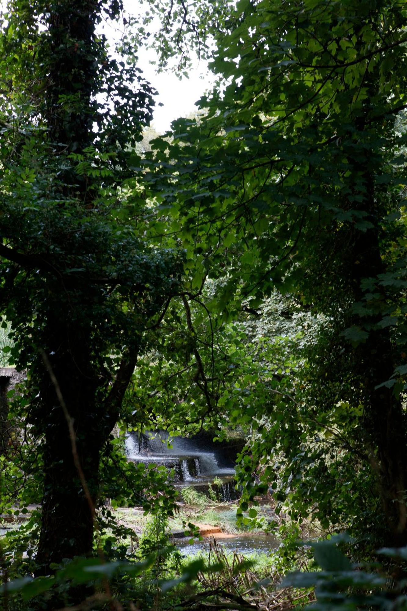Dripsey Castle Estate Cork Exterior foto