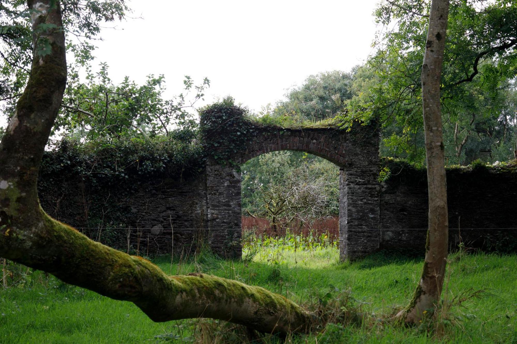 Dripsey Castle Estate Cork Exterior foto