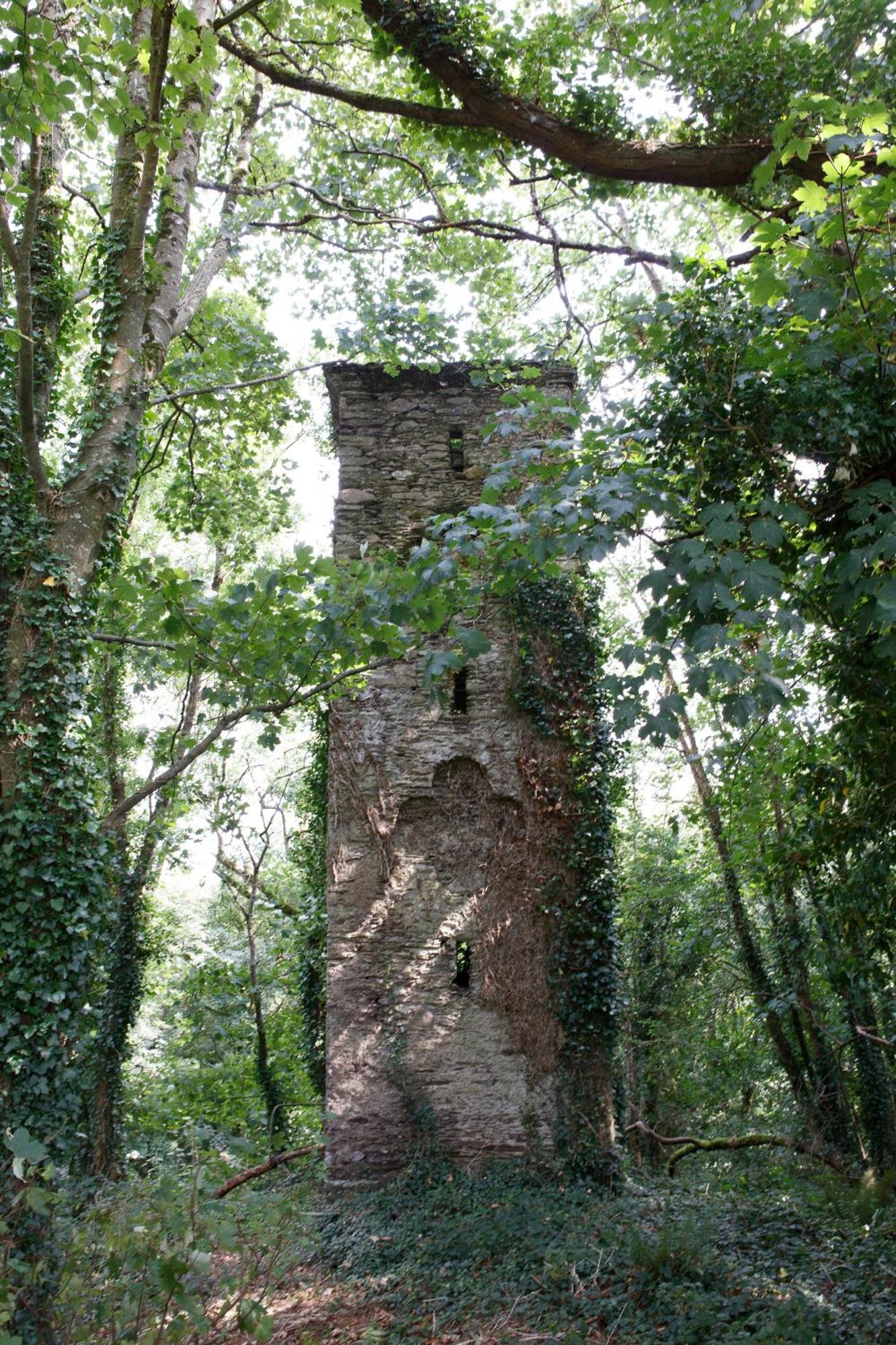 Dripsey Castle Estate Cork Exterior foto