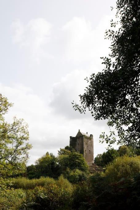 Dripsey Castle Estate Cork Exterior foto